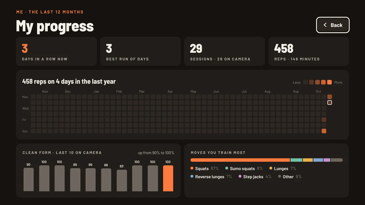 Progress on the TV: a year of training as a calendar of squares, streaks, clean-form trend and the moves trained most.